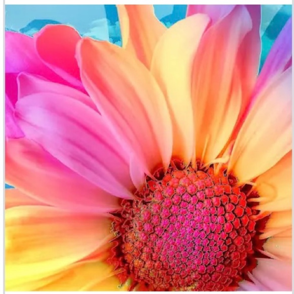 Accepting most offers!
Everything has to go!!